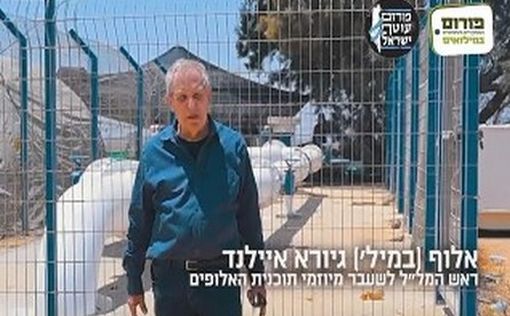 Генерал Гиора Айленд: Хотите победы - прекратите поставки воды в Газу