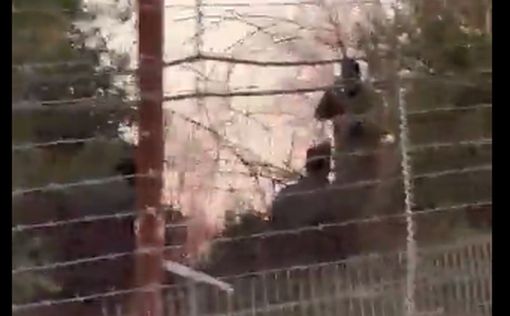 Видео: вооруженные террористы "Хизбаллы" патрулируют границу