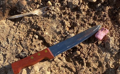 Теракт в Самарии: новые подробности