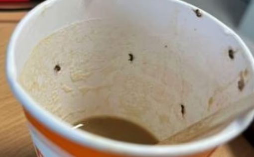 Женщина чуть не умерла выпив кофе из чашки с жучками в аэропорту Майорки