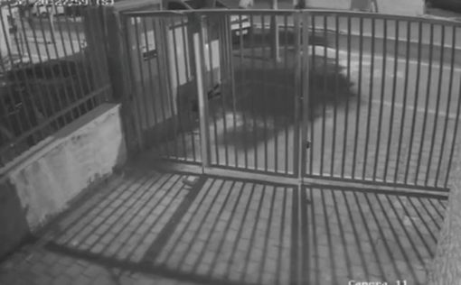 Видео атаки в Эльад: террористы бегут по улице с топором