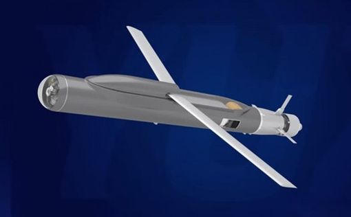 Украина получит от США 100 дронов-камикадзе Switchblade