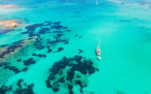 Остров из "Пиратов Карибского моря" продают за рекордную сумму