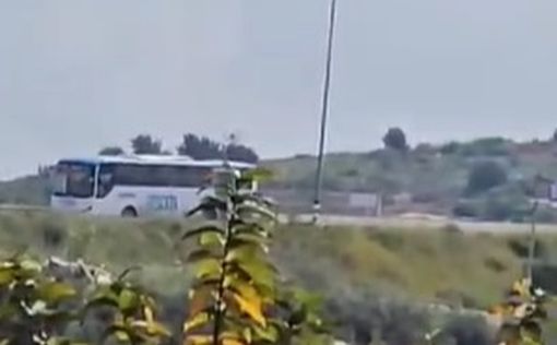 Теракт в Самарии: террорист обстрелял автомобили из автомата