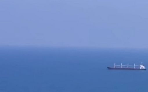 После месяца в море: судну со скотом из Австралии запретили плыть в Израиль