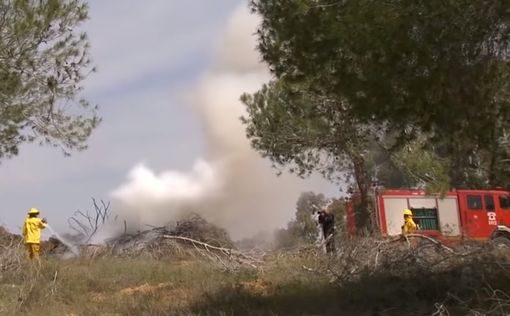 "Огненный террор" продолжается: вспыхнули 7 пожаров