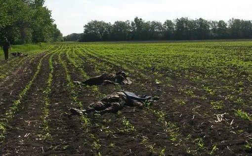 Количество жертв военных под Донецком возросло до 16