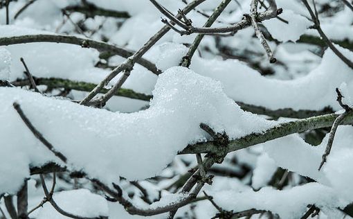 Гавайи покроются снегом