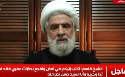 Наим Касем: возможно новые власти Сирии восстановят маршрут поставок "Хезболлы"